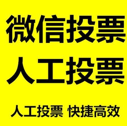 苏州市投票活动拉票能被查出来吗？如何操作能不被发现？